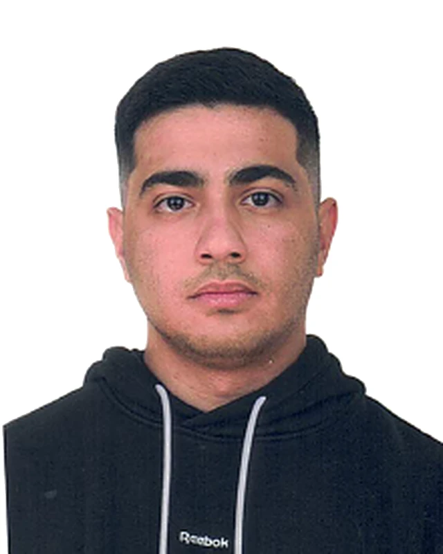 Shayan Nosrat Sheybani - IT Specialist